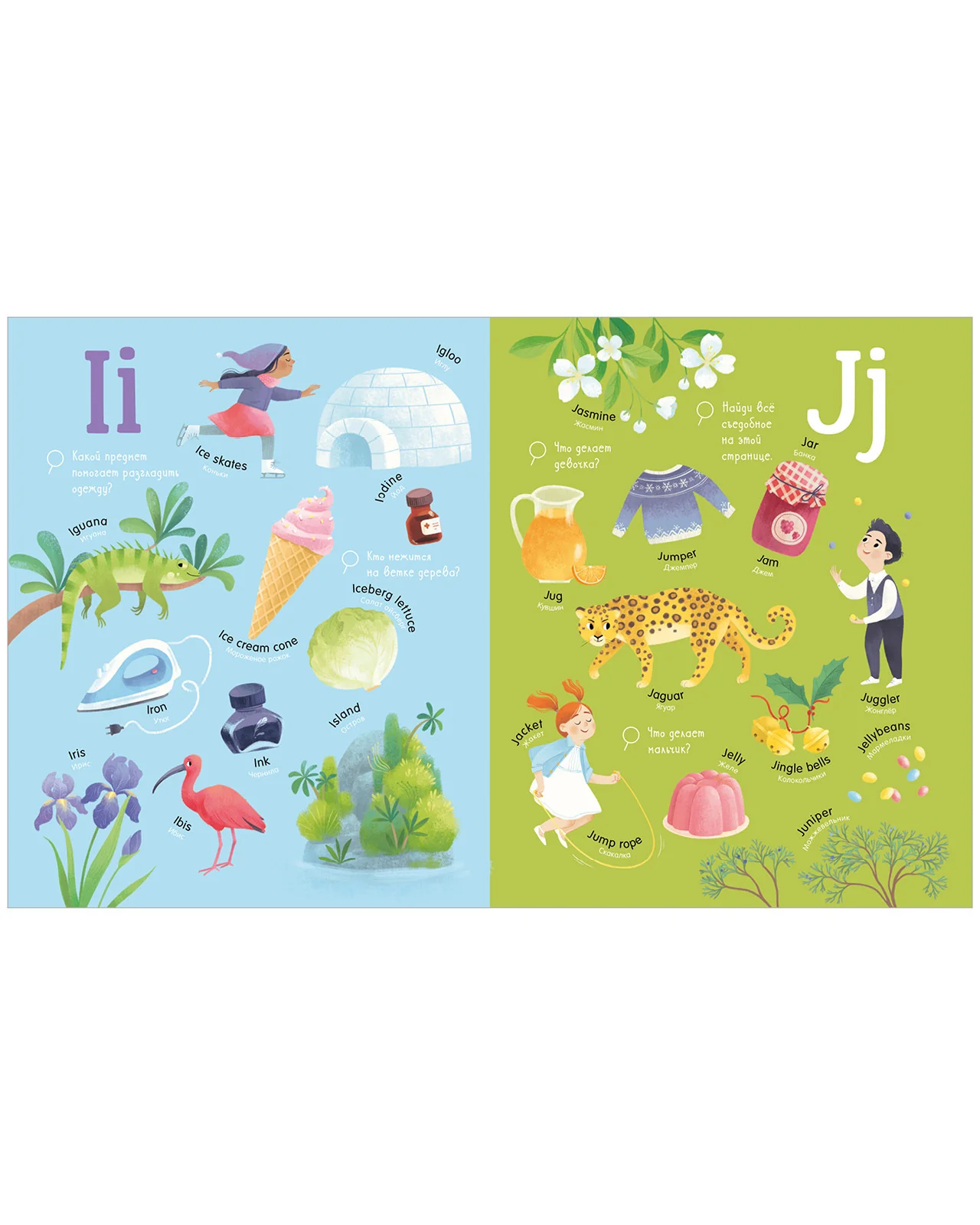 תמונת מוצר 16