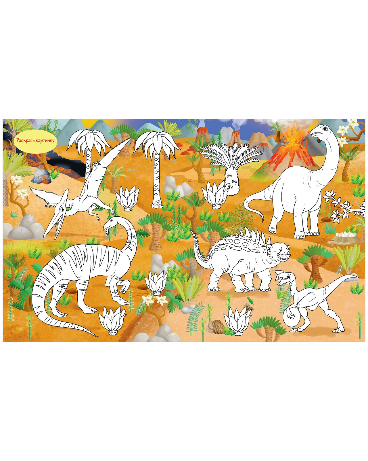 תמונת מוצר 7