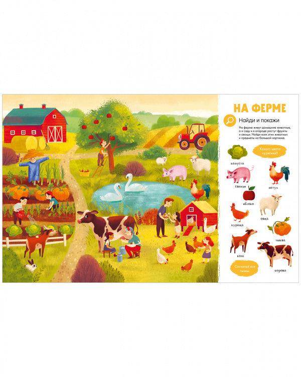 תמונת מוצר 14