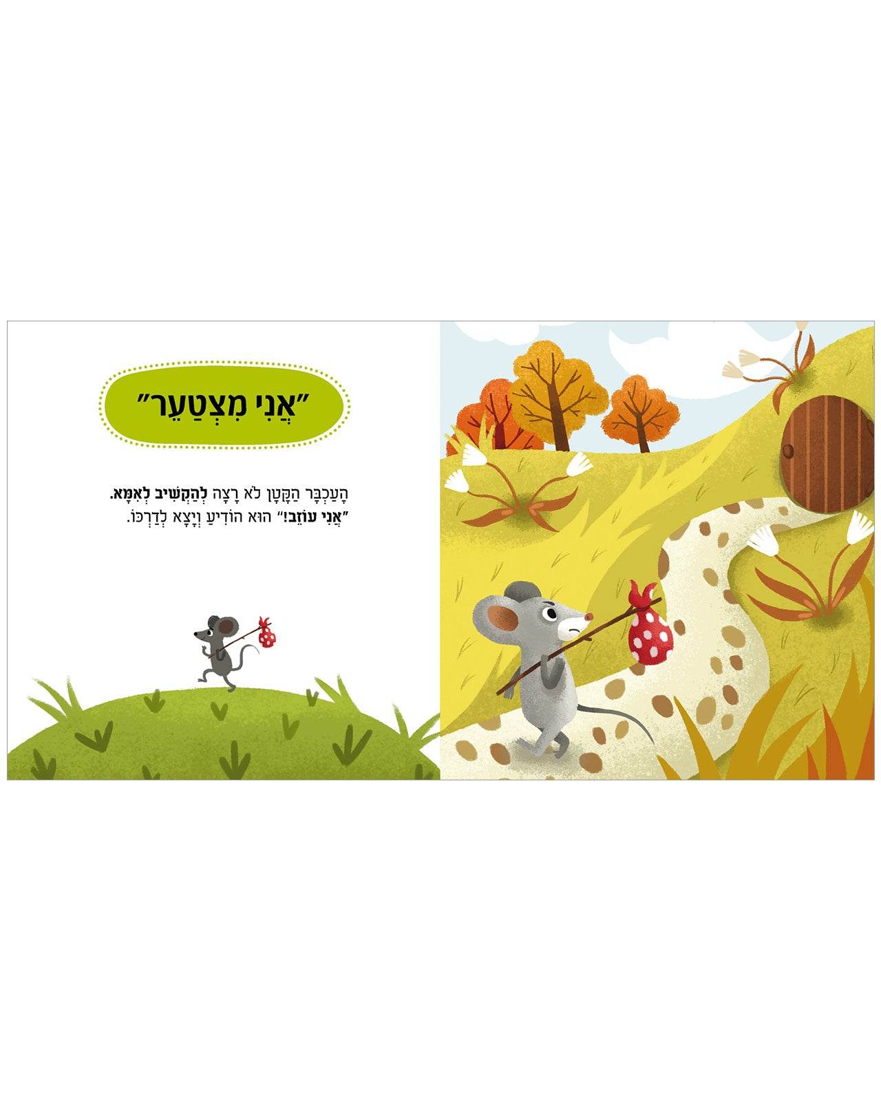 תמונת מוצר 3