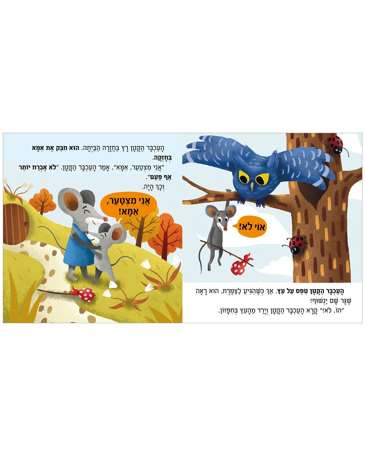 תמונת מוצר 4