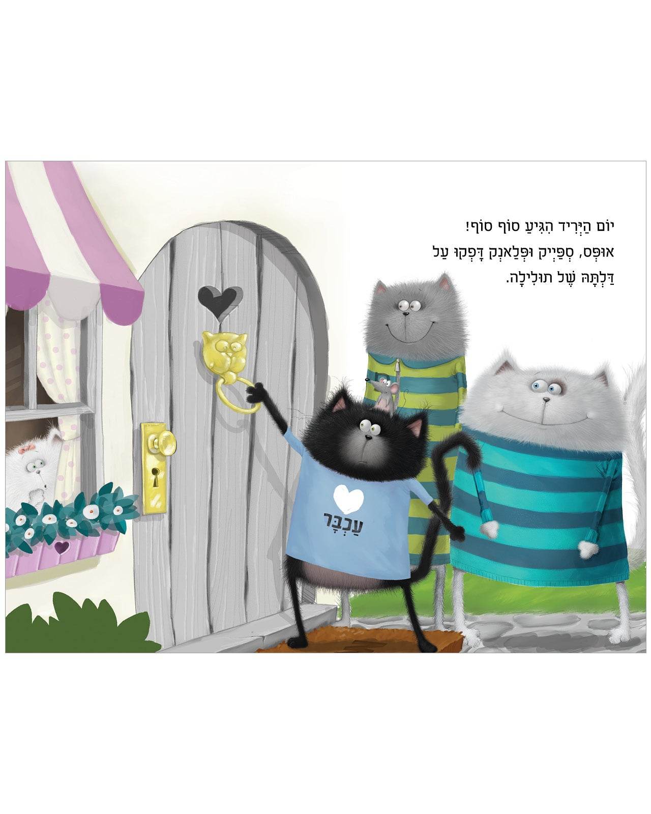 תמונת מוצר 3