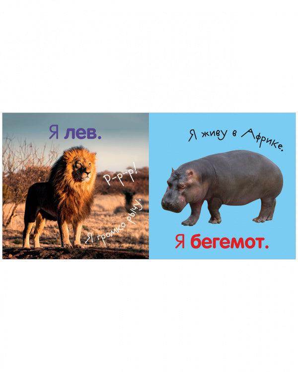 תמונת מוצר 6