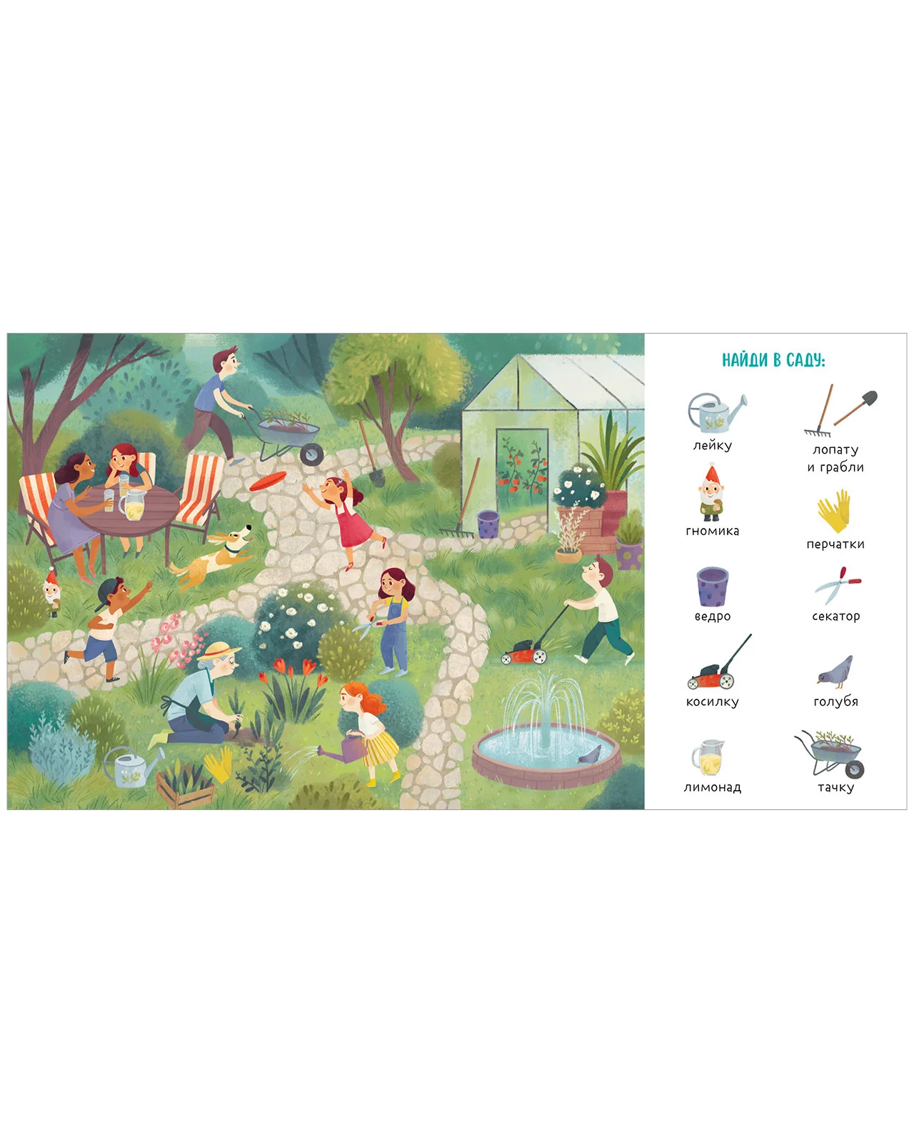תמונת מוצר 13