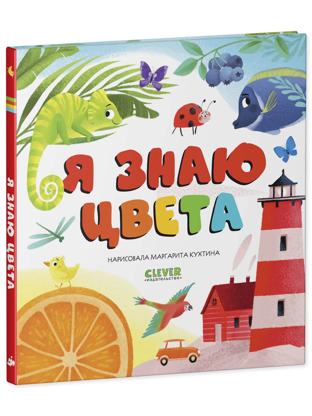 תמונת מוצר 2