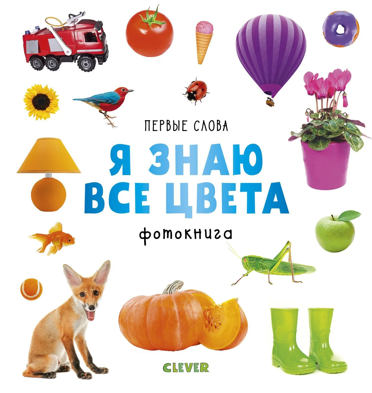 תמונת מוצר 10