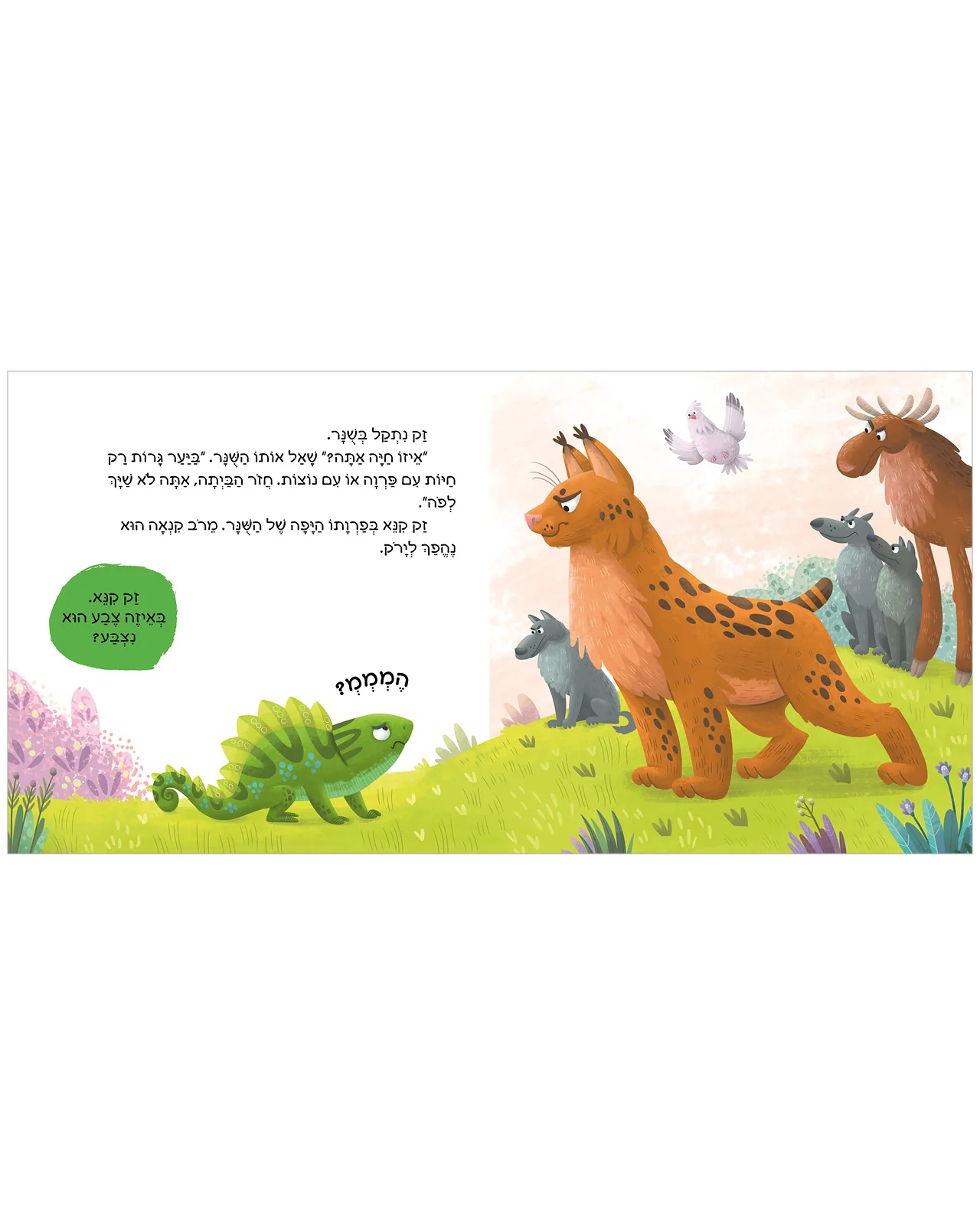 תמונת מוצר 3
