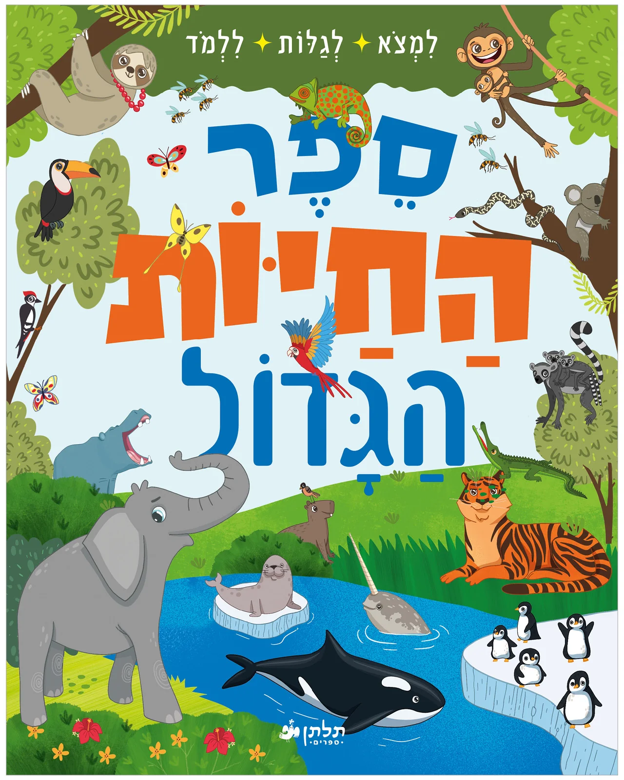 תמונת מוצר 1