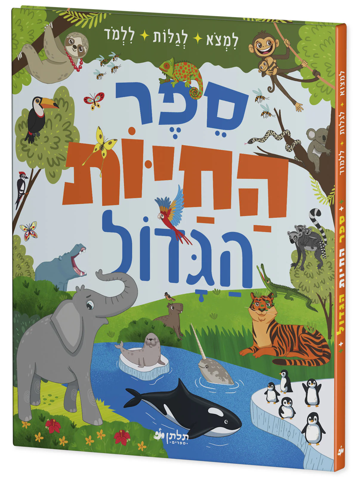 תמונת מוצר 2