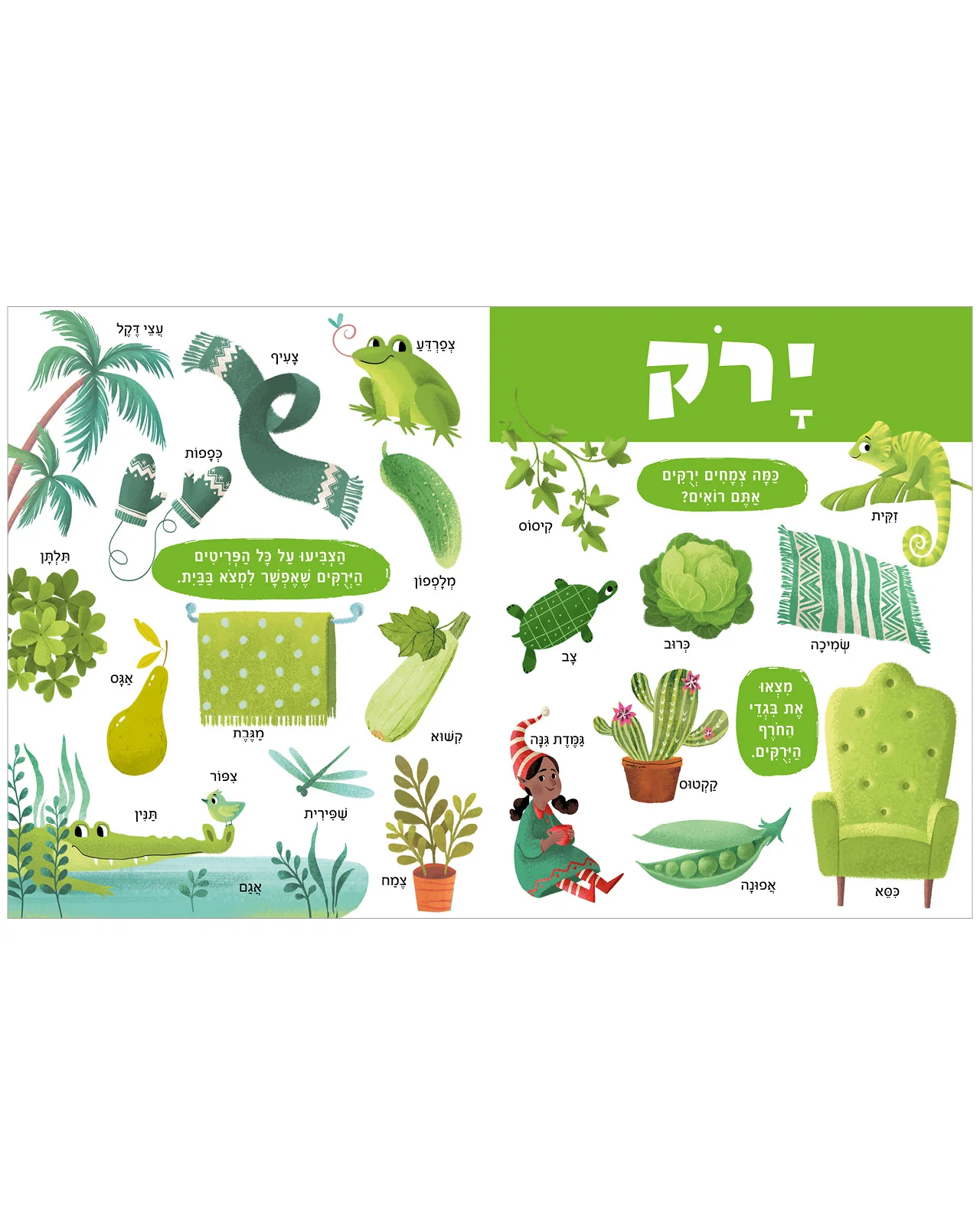 תמונת מוצר 7