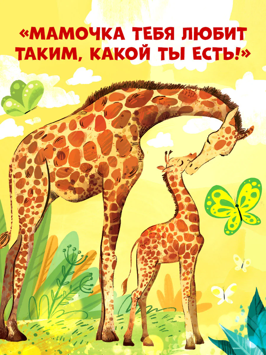תמונת מוצר 17