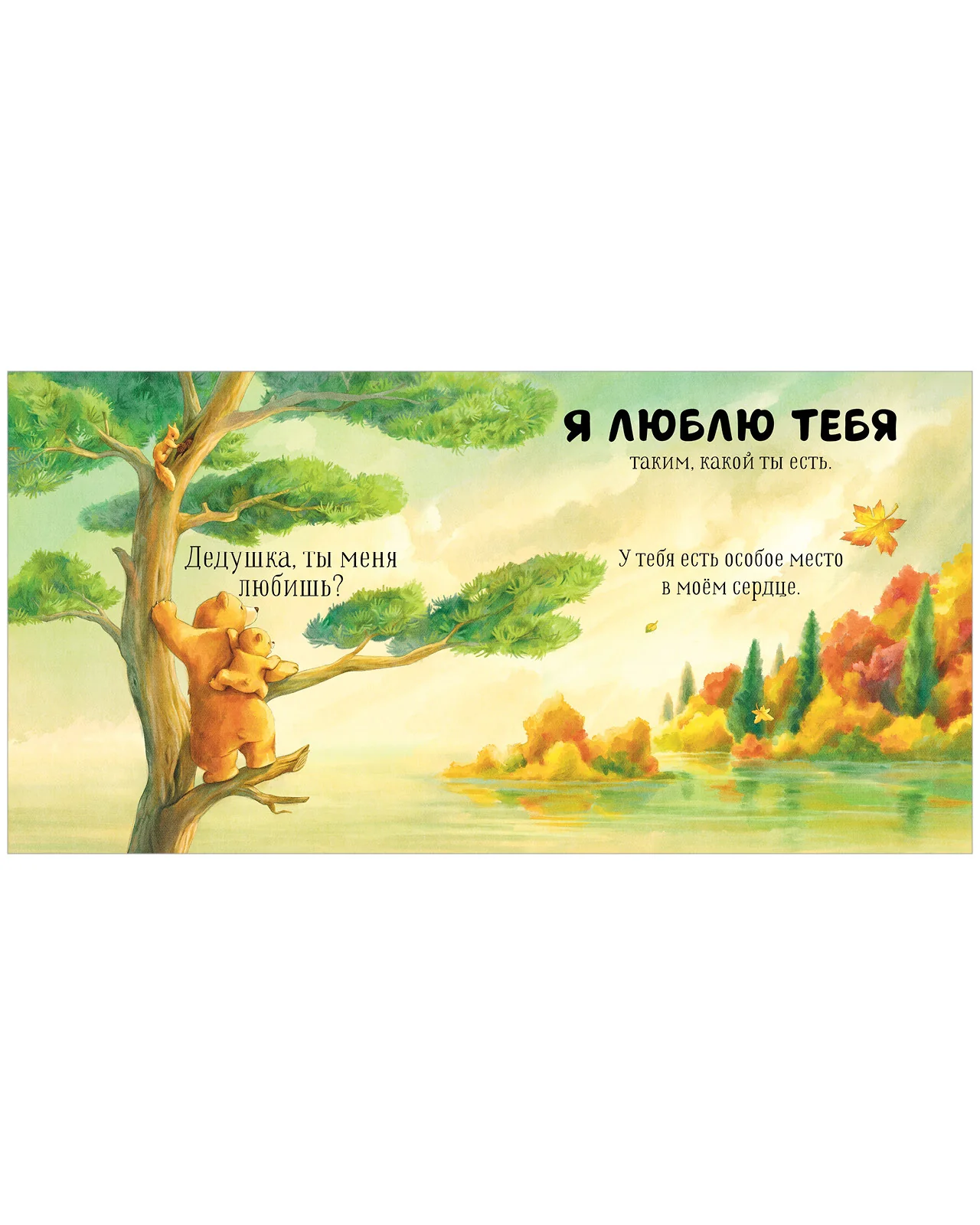 תמונת מוצר 5