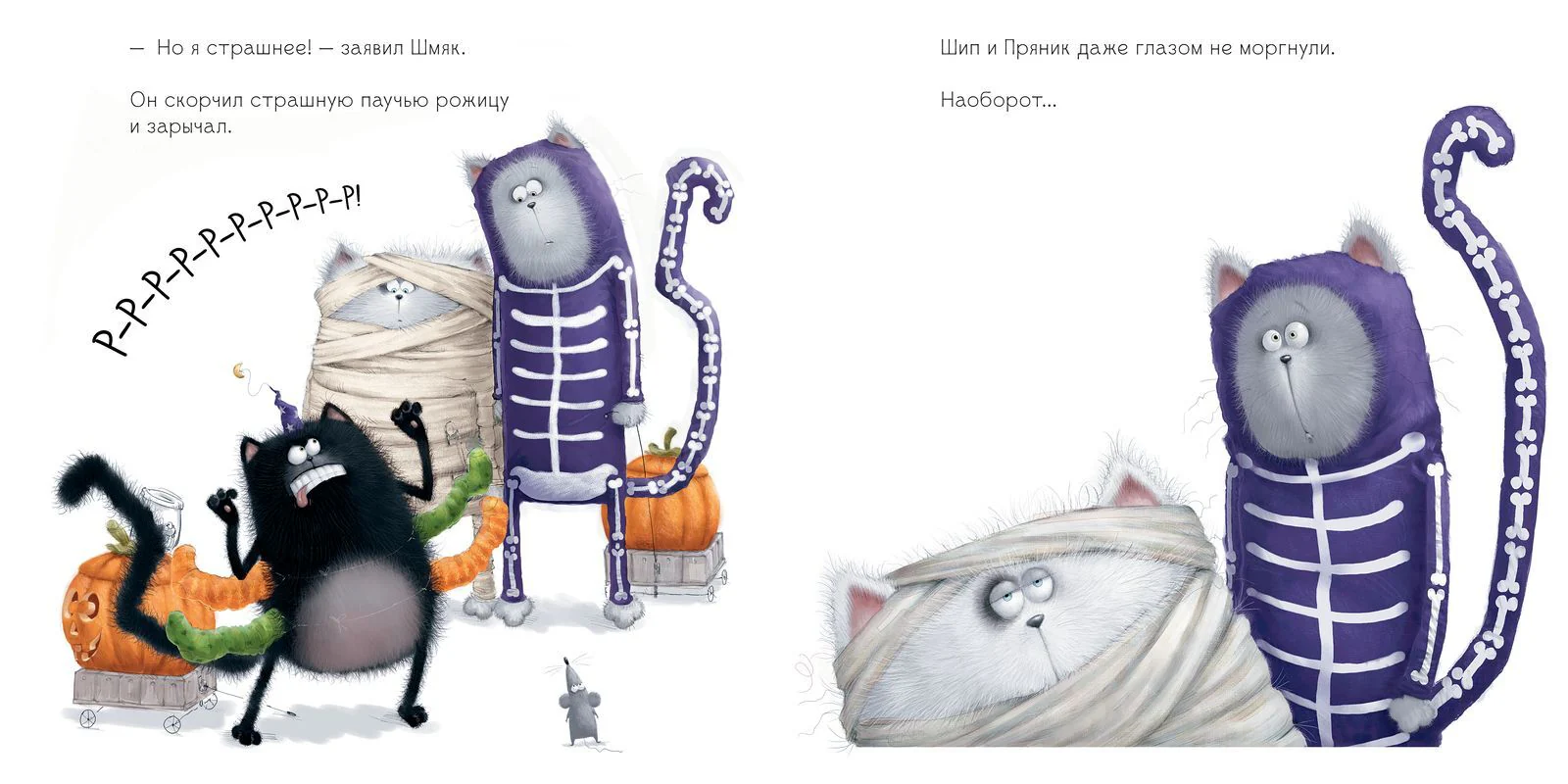 תמונת מוצר 9