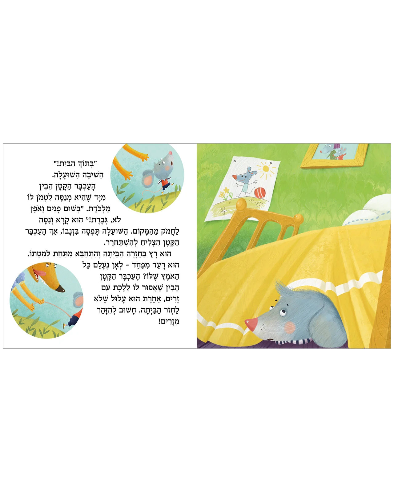תמונת מוצר 3
