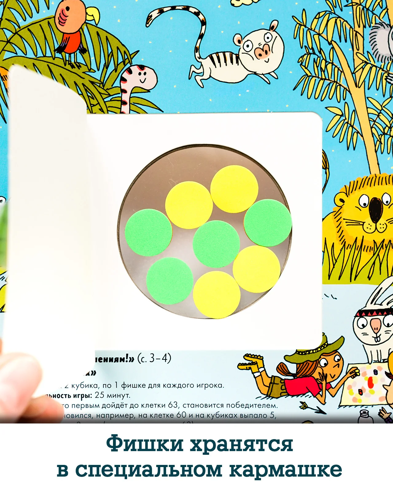 תמונת מוצר 17