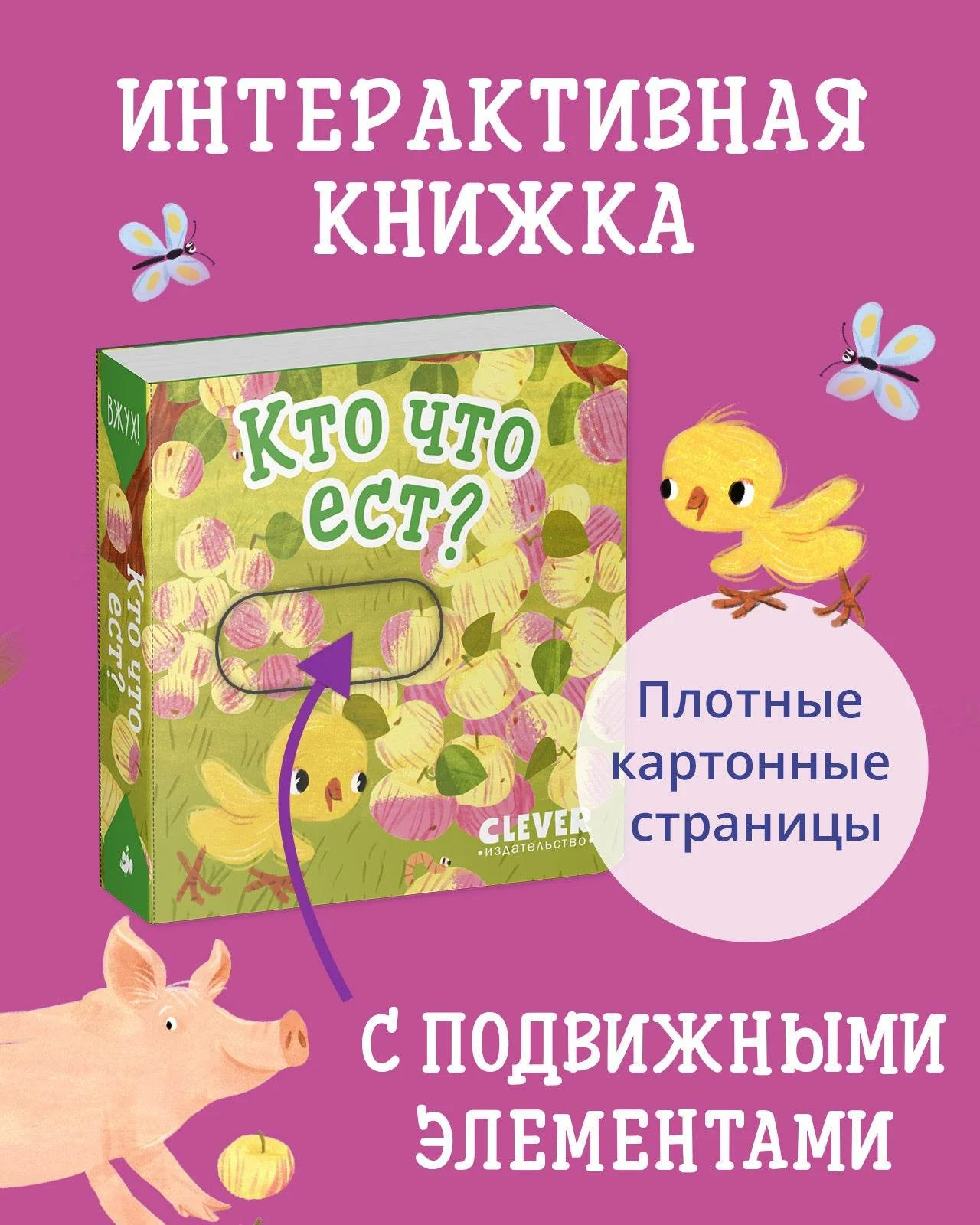 תמונת מוצר 1