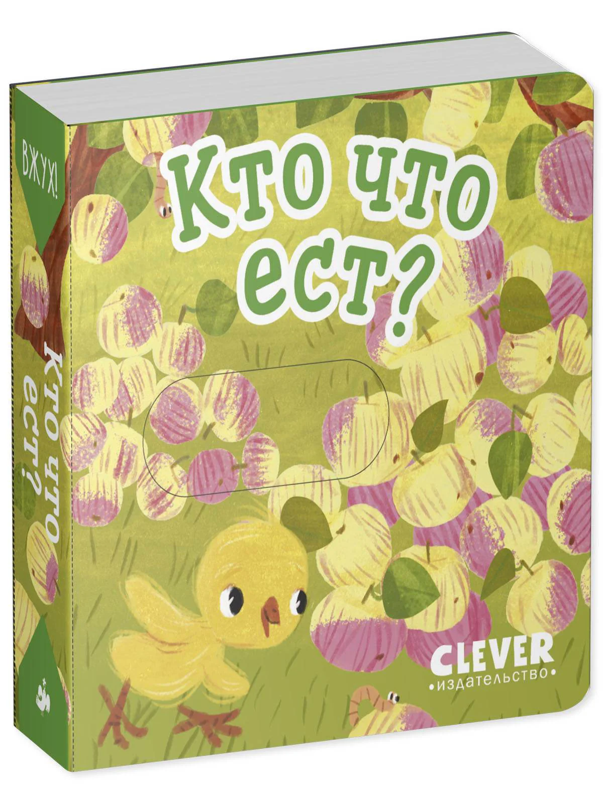 תמונת מוצר 5