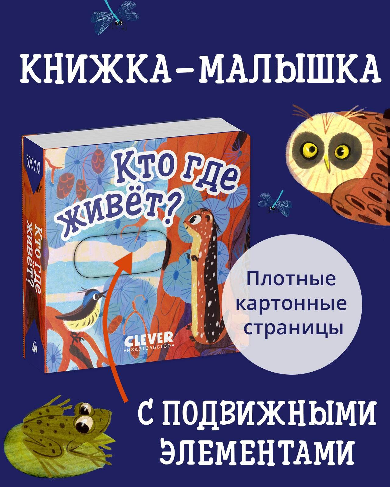 תמונת מוצר 1