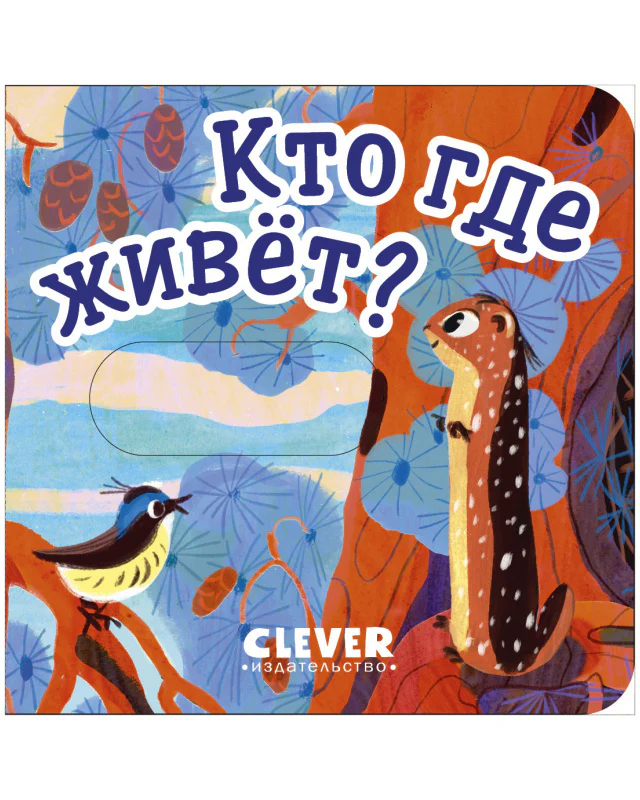 תמונת מוצר 10