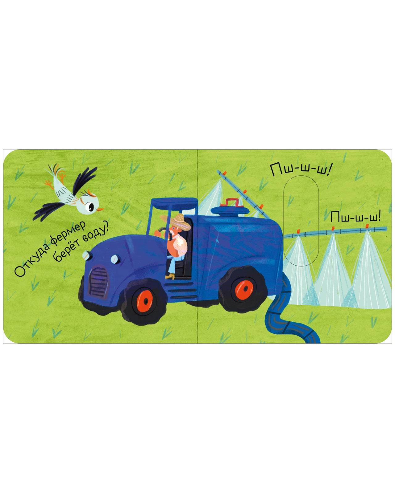 תמונת מוצר 7