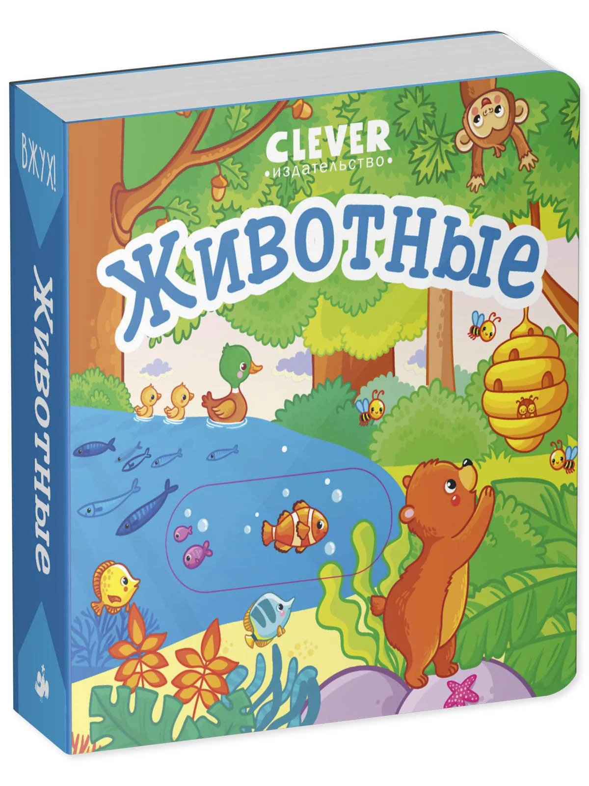 תמונת מוצר 5