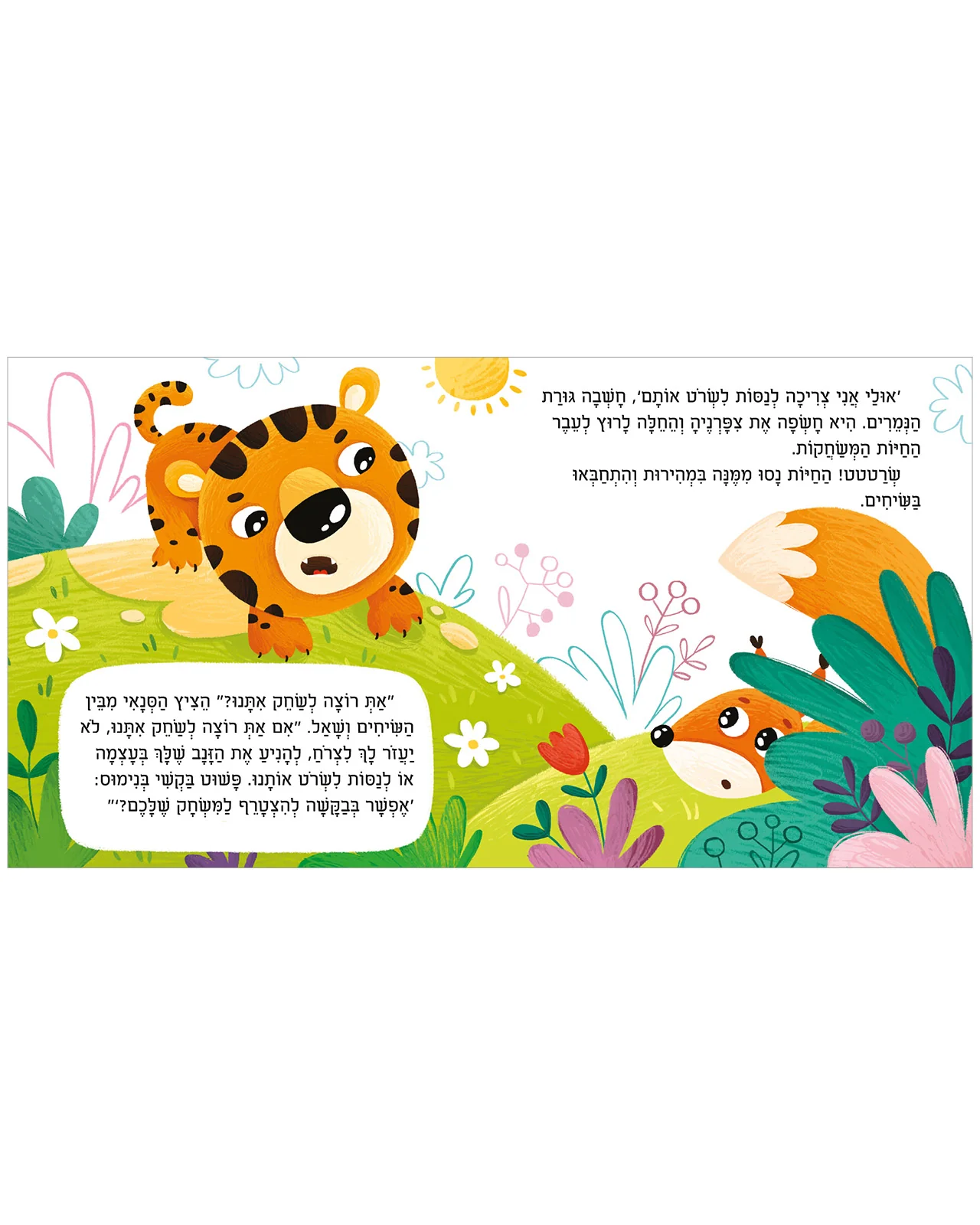 תמונת מוצר 5