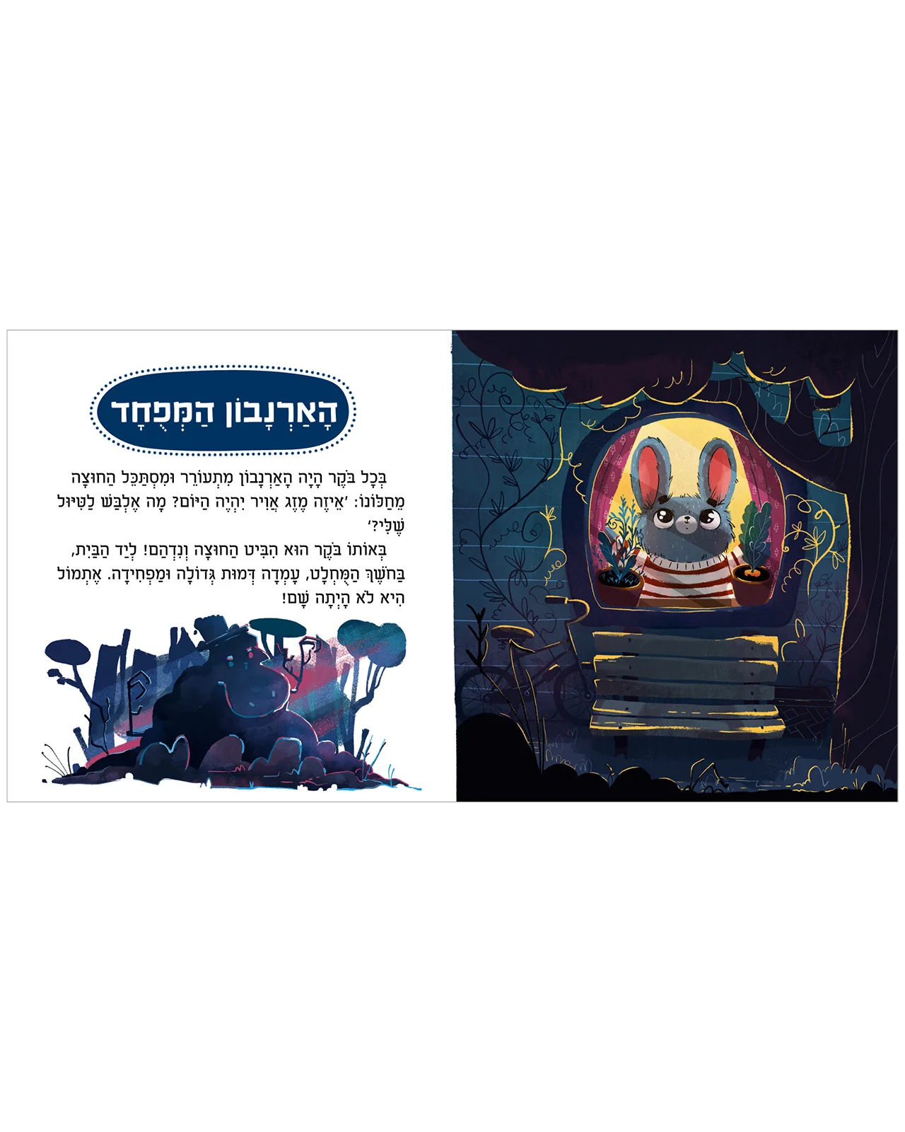 תמונת מוצר 3