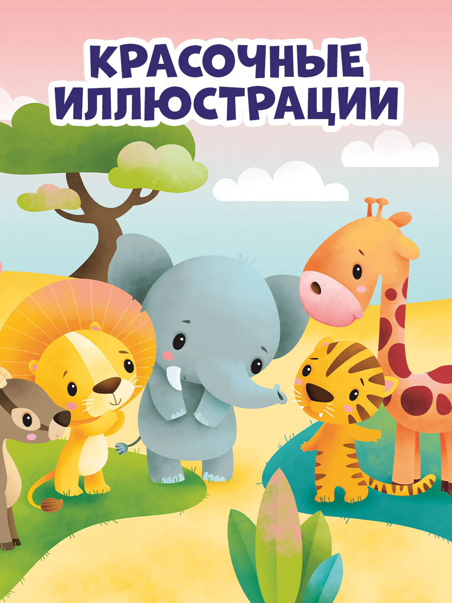 תמונת מוצר 6